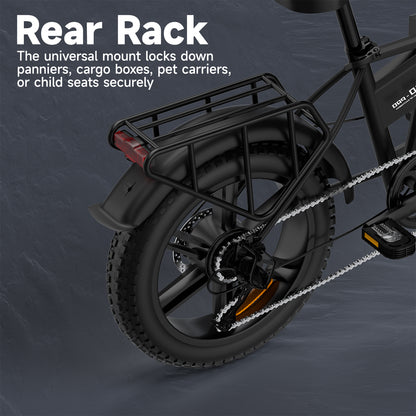 Bici elettrica pieghevole Ruitoo E20PRO