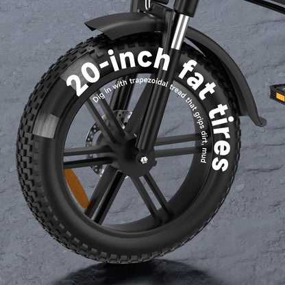 Bici elettrica pieghevole Ruitoo E20PRO